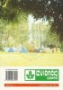 Izviđački vjesnik - broj 293 za jun 1991. godine (izdanje Saveza izviđača Bosne i Hercegovine)